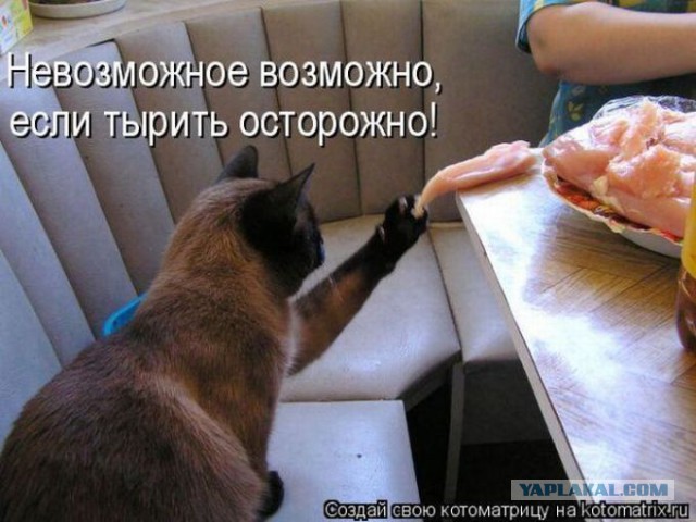 Разбудили