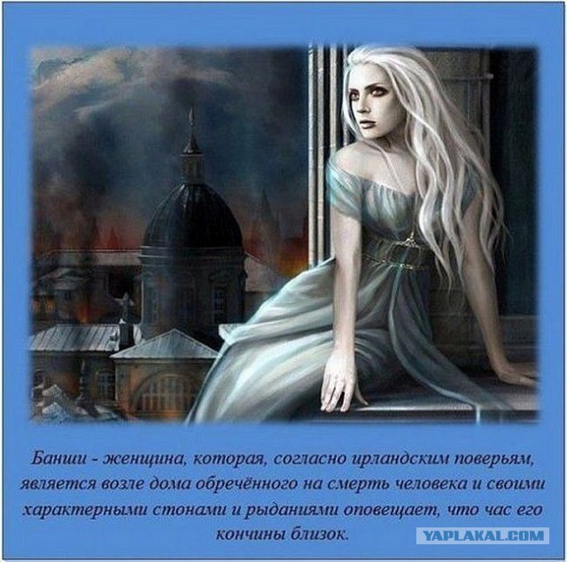 Интересные факты обо всем на свете
