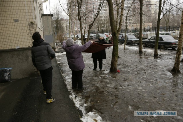 Как в Питере котана спасали или фото от Дяди Миши