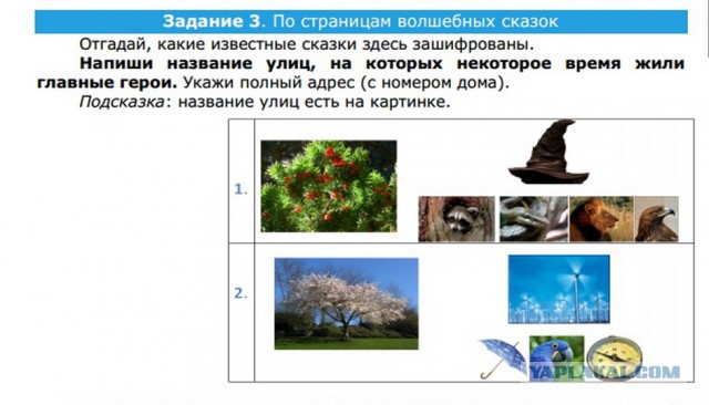 Тест на интеллект