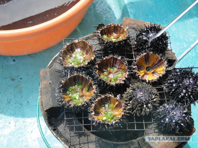 Остров Phu Quoc