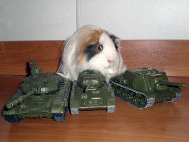 Wargaming 18
