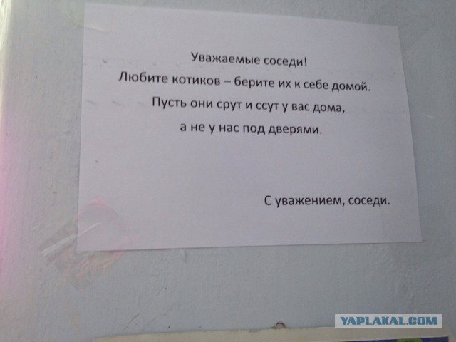 Прикольные надписи
