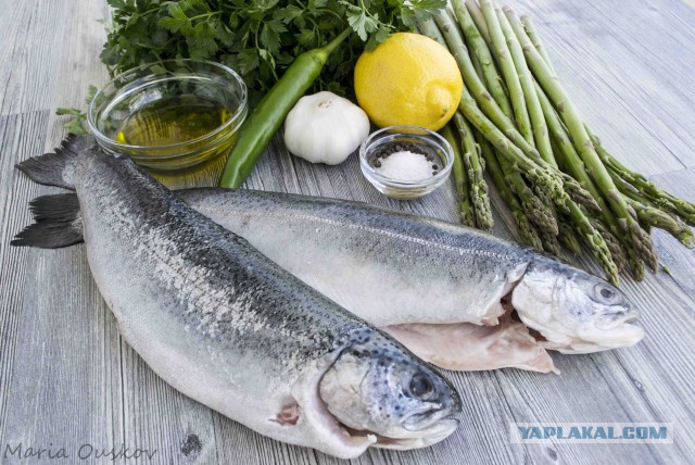 Тема памяти БоРмАnа и Дженибека, Готовим по рецептам ребят