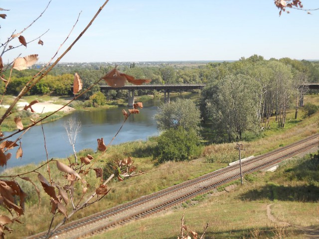 "Мостик, не болей!"