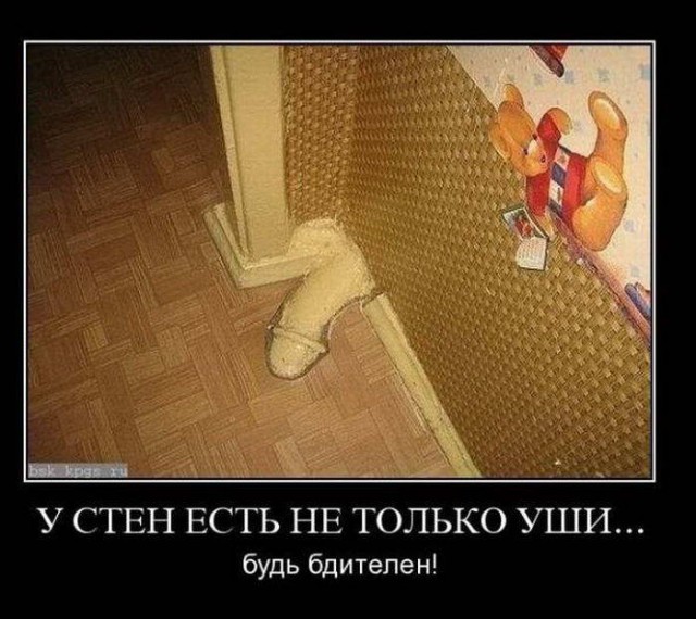 Прикольные картинки и демотиваторы
