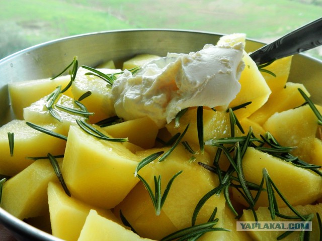 Лук