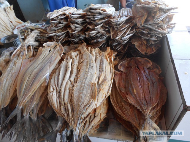 Рыбный рынок в Эквадоре