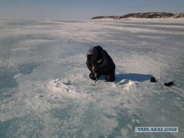 Всю рыбу распугал!