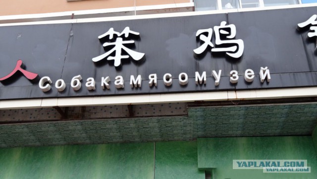 Народный креатив в вывесках, рекламах и пр.