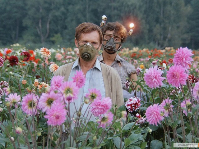 Рослесхоз разъяснил, что рубка сушняка и присвоение ветровальной и буреломной древесины - это хищение