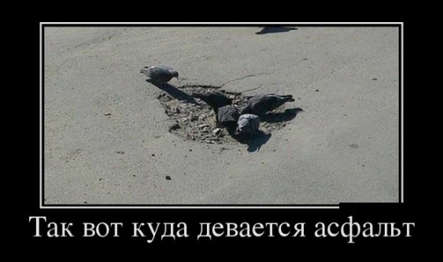 Демы без Темы