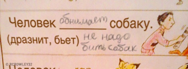 Порция картинок из сети
