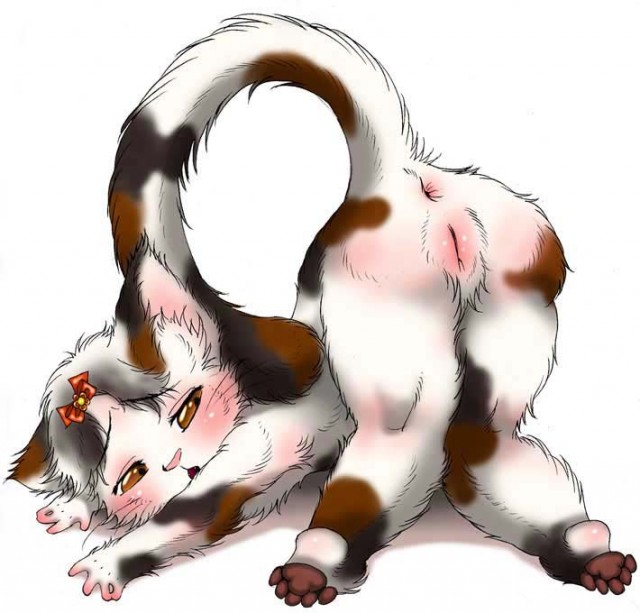 Первый ноябрьский котовторник!