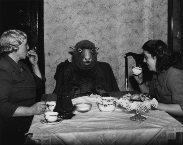 Интересные фотографии из прошлого