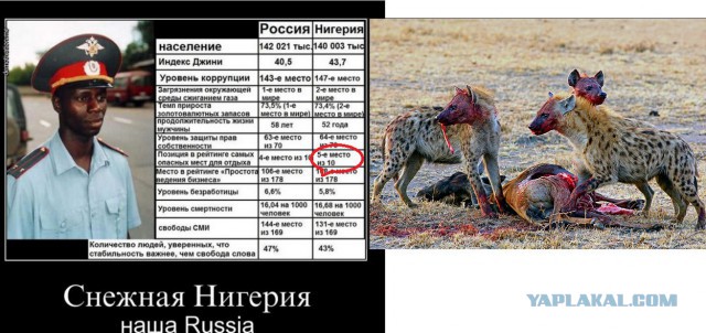 Зверское избиение волгодонца пьяной толпой попало на видео