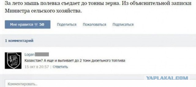 Подборка интересных и веселых картинок