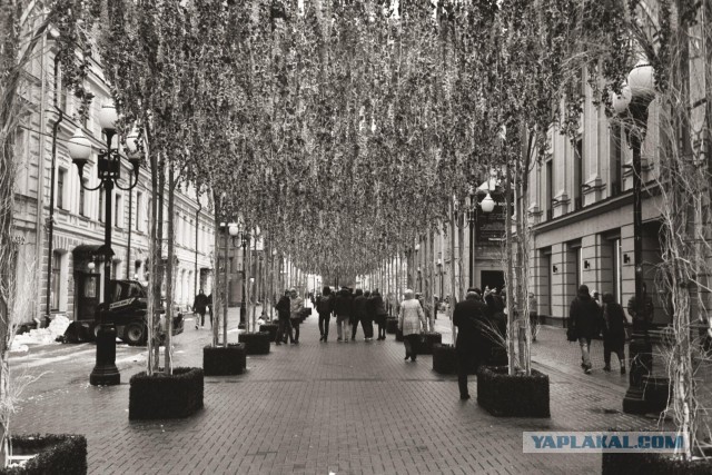 24 удивительных фото, где нет ни грамма фотошопа
