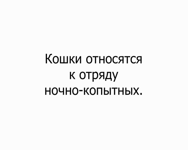 Подборка безудержного веселья