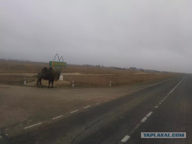 Советские стелы городов
