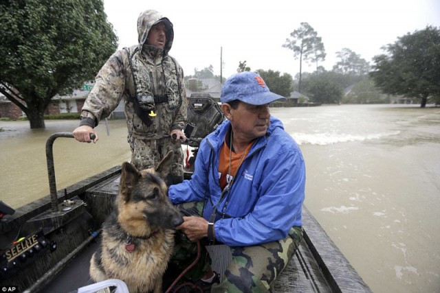 Наводнение в Хьюстоне: впечатляющие снимки и последствия