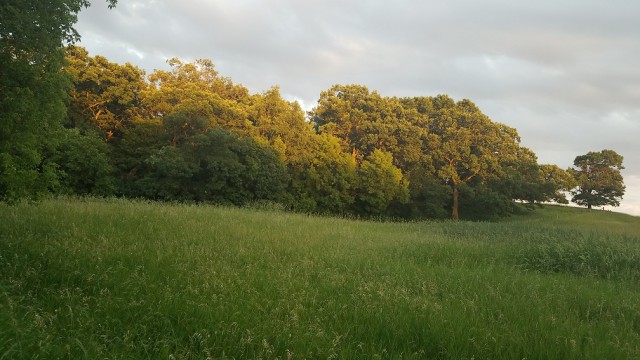 Просто Природа