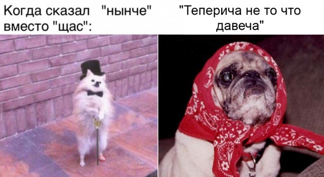 Не очень светлый и абсурдный юмор обо всём