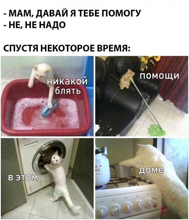 Нестандартный юмор