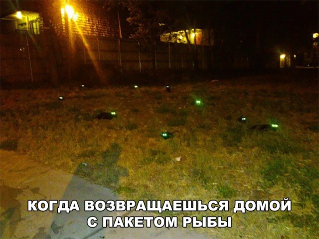 Нестандартный юмор