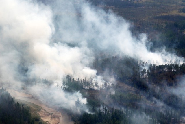 «Идет качественная деградация». Гринпис опубликовал карты уничтоженных лесов