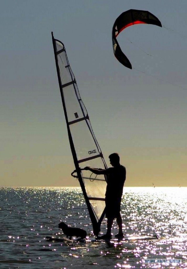 Собакочетверг