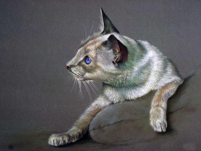 Рисованные киски