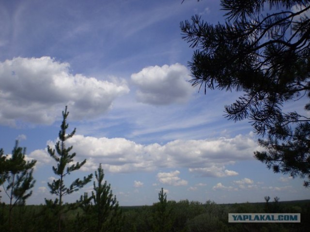 любительская фотография