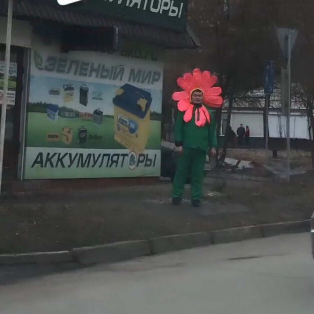 Скотсети и прочие интернеты 04.03.19