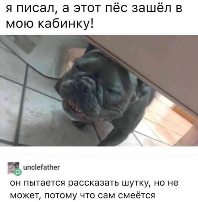 Немного картинок для настроения
