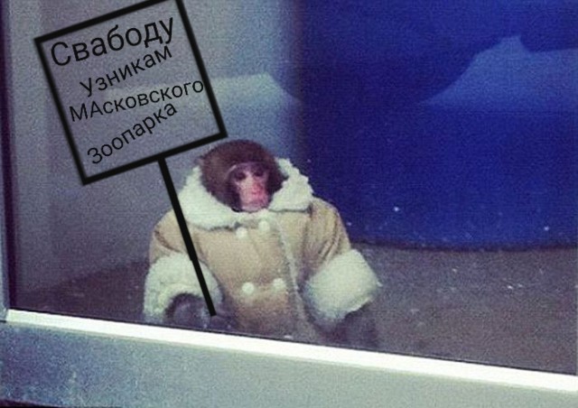 Новый, супермодный танец из Африки