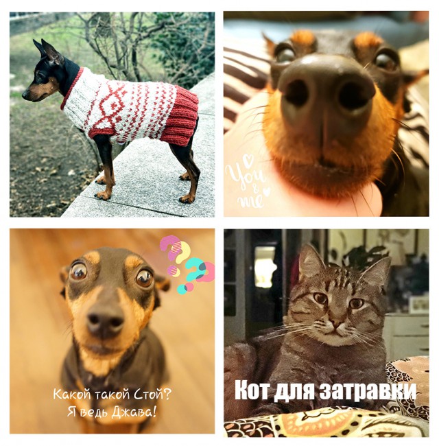 Нью-Йорк: Будничные заметки. Окрестности. Рассуждения. Цены.