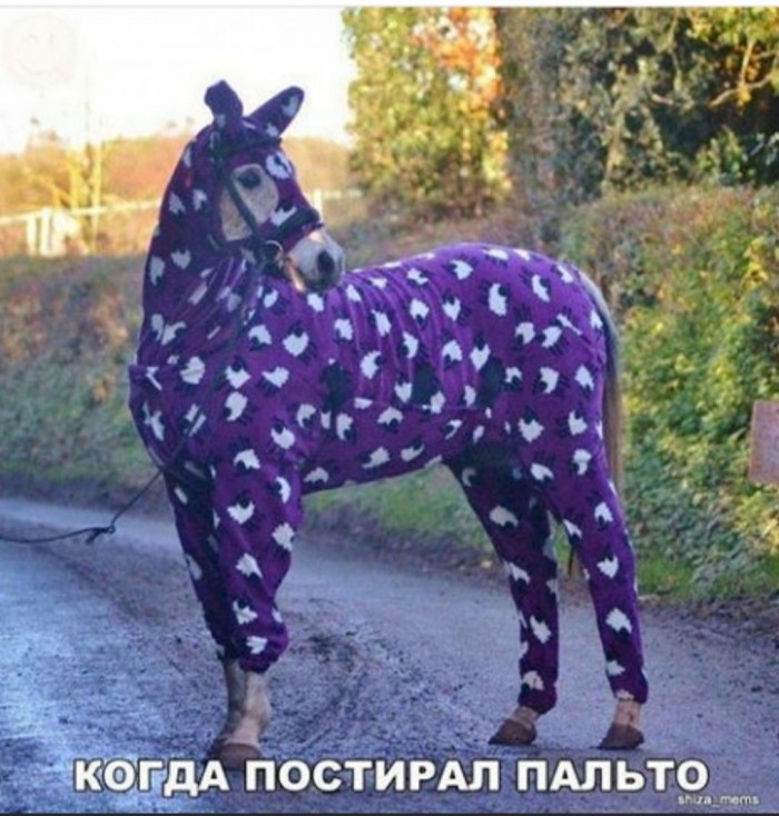Бредзона в картинках 22.11.2019
