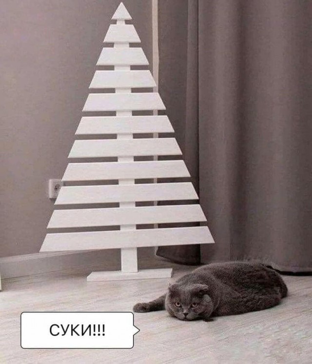Котовторник *новогодний* 31/12/2019