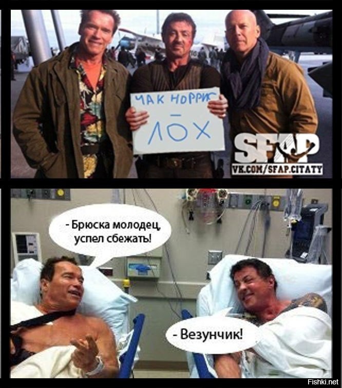 Как Шварценеггер случайно сделал Брюса Уиллиса звездой