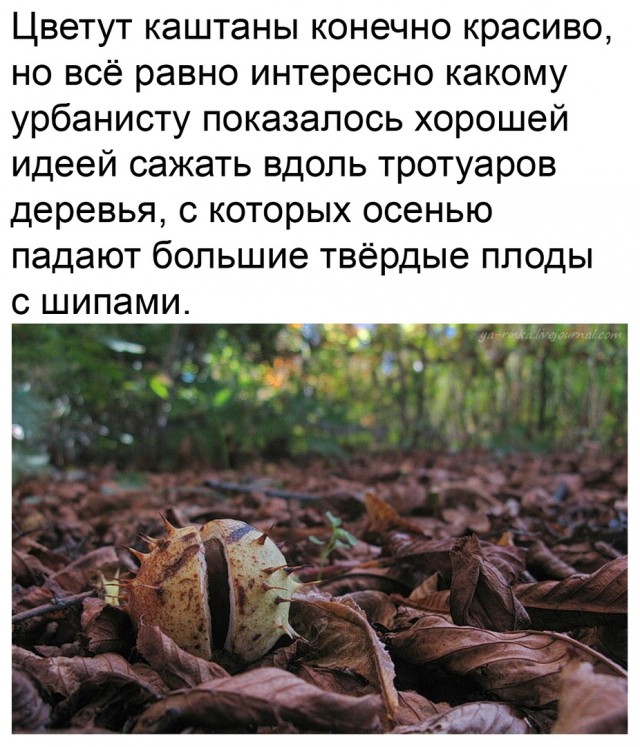 Чуток картинок 31.03.20