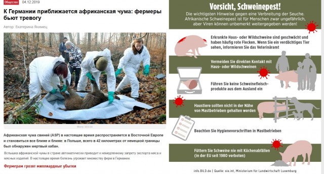 Наконец-то полные и достоверные сведения