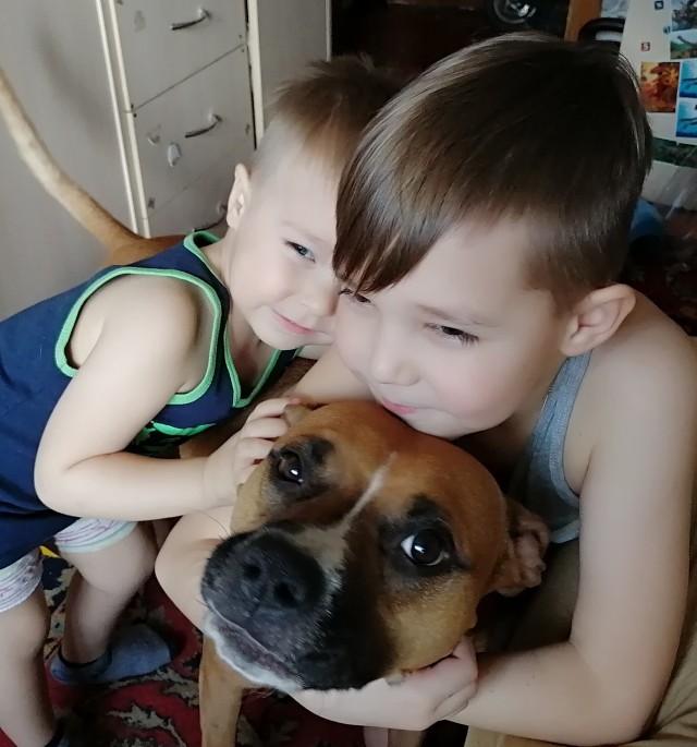 У тузика башню сорвало...