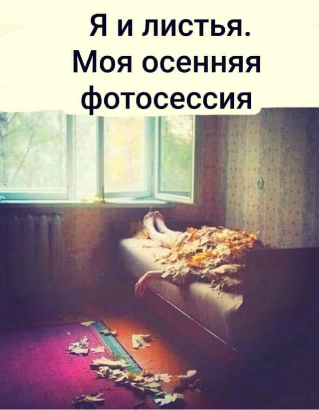 Фотки и картинки: юморные и красивые, забавные и милые 17.11.20