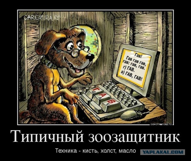 Водитель автобуса в Якутске сжалился над бездомной собакой и впустил ее в салон с мороза в -53