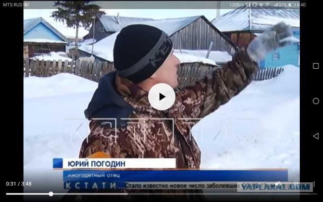 Жадность сгубила