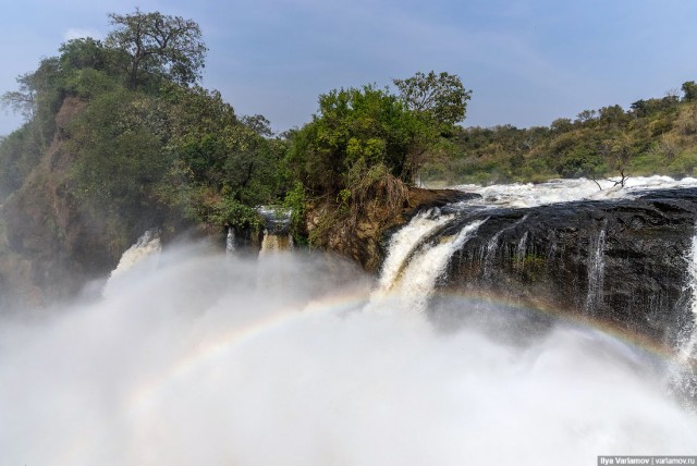 Уганда: самая настоящая Африка с гориллами и носорогами!