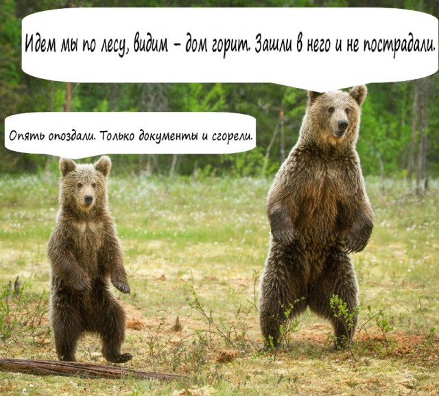 Арсенал «скромного пенсионера» из Вешек