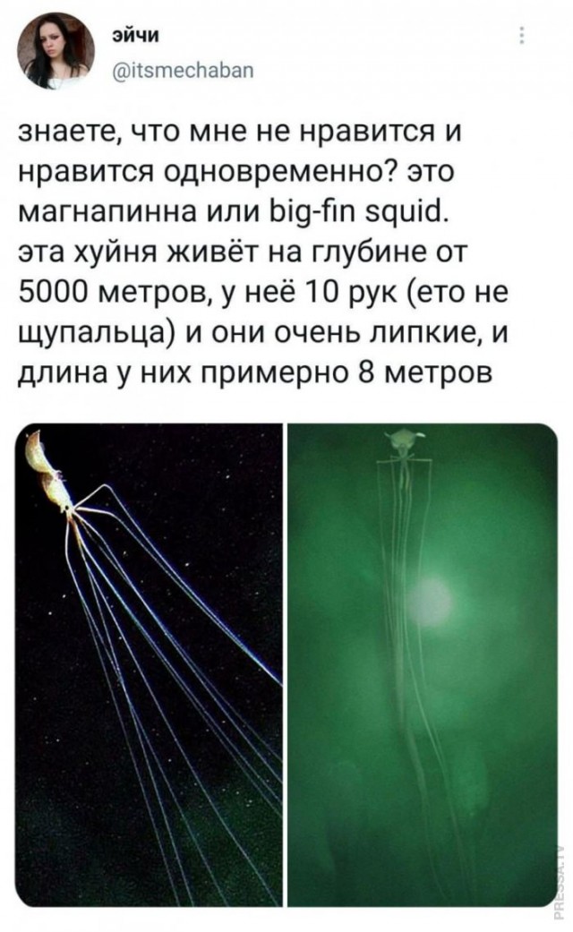Картинки и мемы для настроения