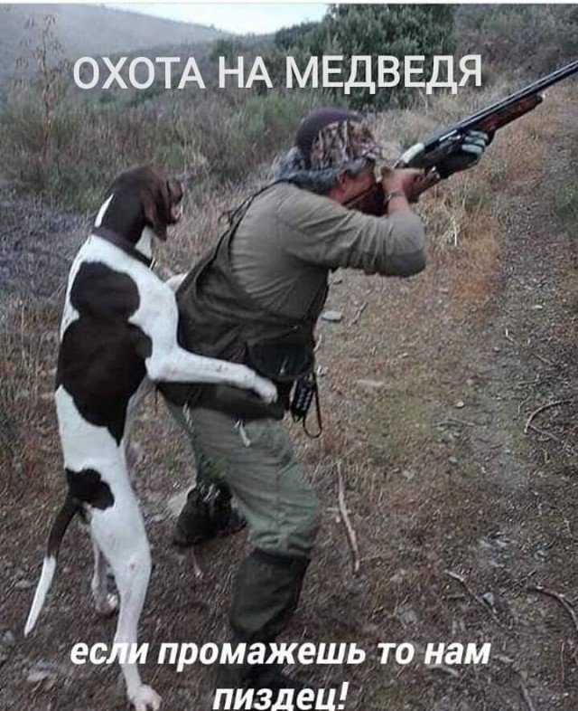 Картинки с надписями и всякие жизненные фразы 5.06.21